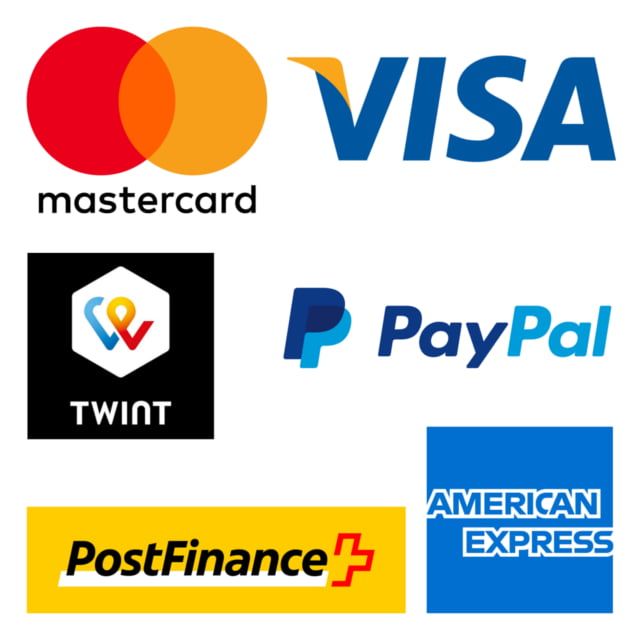 Logos verschiedener Zahlungsanbieter: Mastercard, Visa, Twint, PayPal, PostFinance, American Express